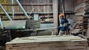 Misiones apuesta a la profesionalización industrial