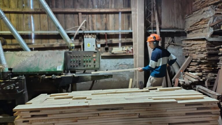 Misiones apuesta a la profesionalización industrial