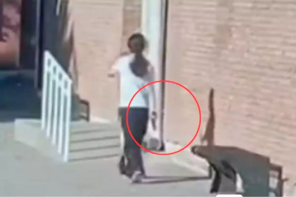 Pánico en Mendoza por una joven que ingresó armada a un colegio