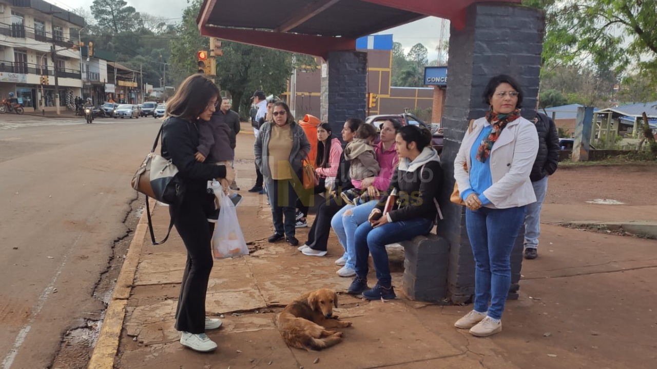 crisis del transporte en Eldorado