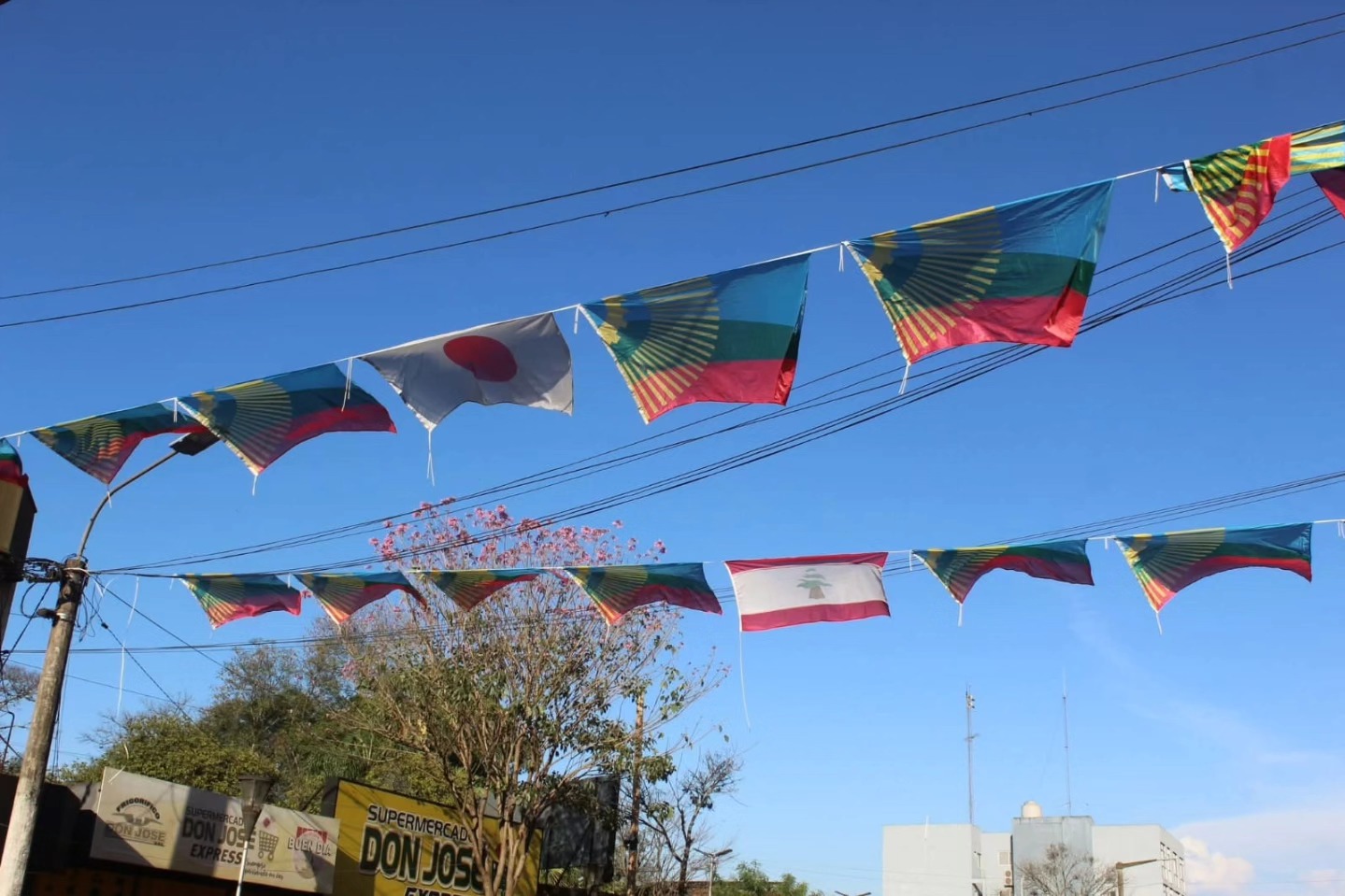 decoración de la avenida San Martín por el 106° aniversario de Eldorado