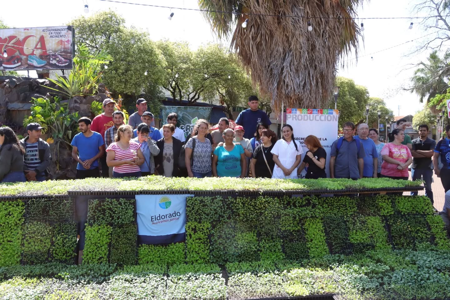 Eldorado impulsa la producción local con la entrega de plantines a escuelas y familias