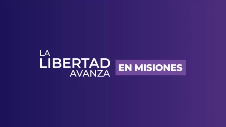 La Libertad Avanza se impuso en Misiones