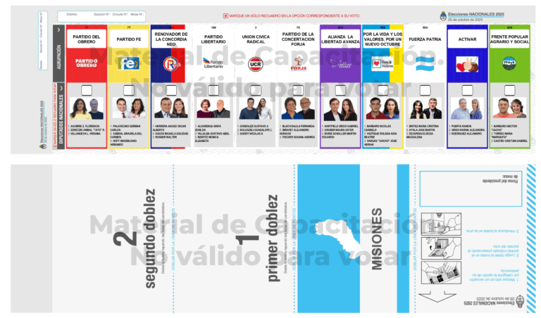 Más de un millón de misioneros votan en las legislativas