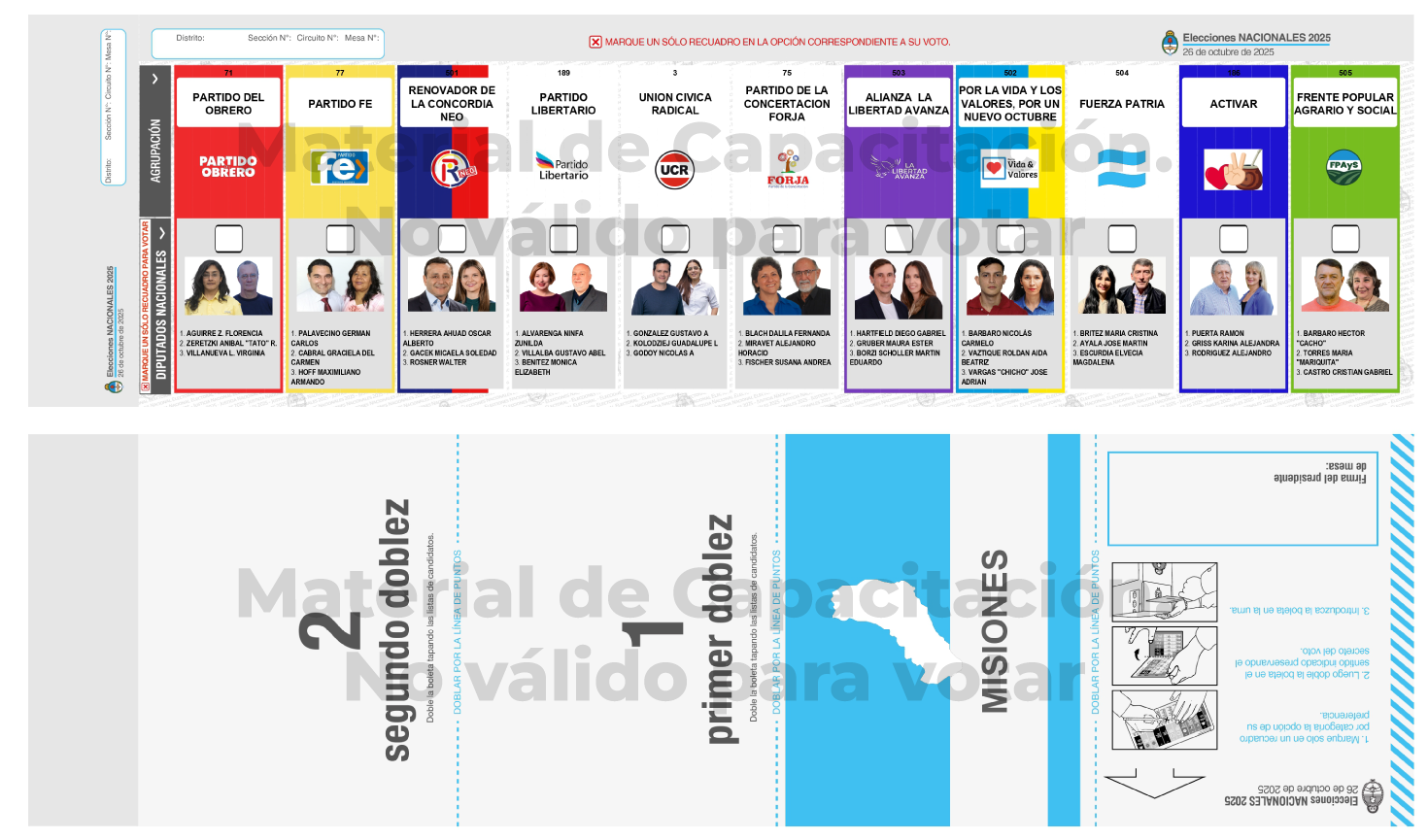 Más de un millón de misioneros votan en las legislativas