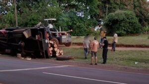 Un camión con rollos de pino volcó sobre la banquina de la Ruta 12
