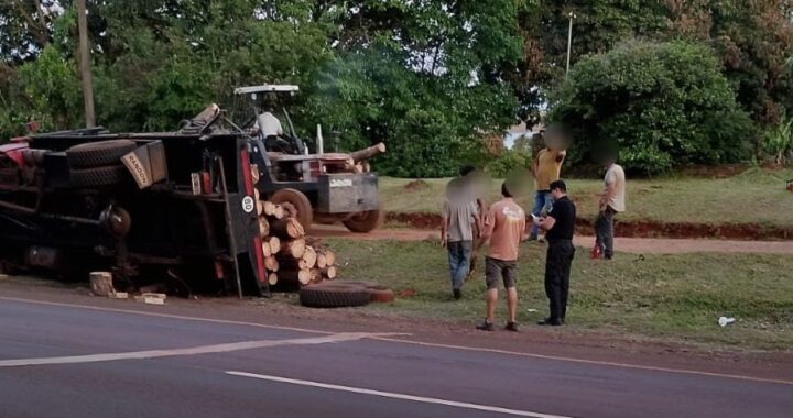 Un camión con rollos de pino volcó sobre la banquina de la Ruta 12