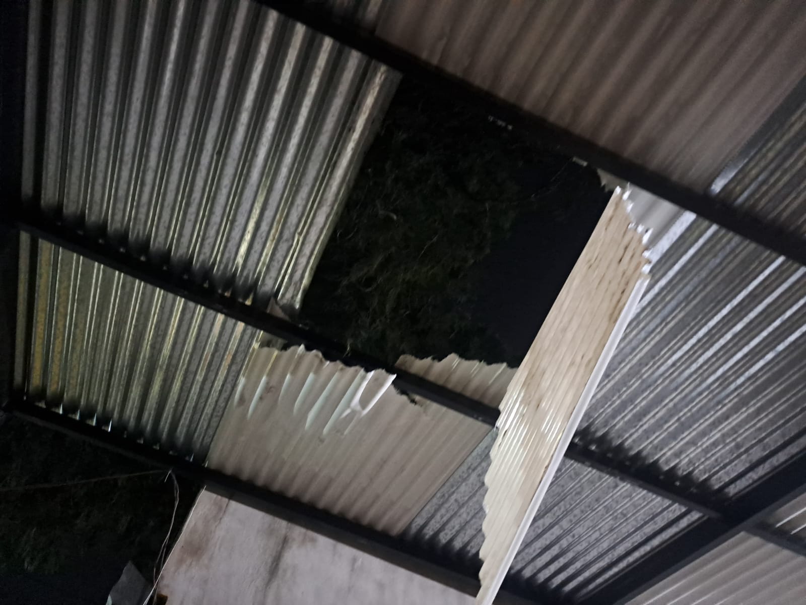 Un hombre murió tras caer del techo mientras podaba un árbol en su vivienda