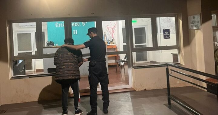 Detuvieron a un hombre tras atacar con un cuchillo a su pareja
