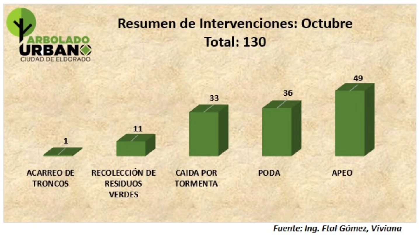 Eldorado avanza con el mantenimiento del arbolado urbano