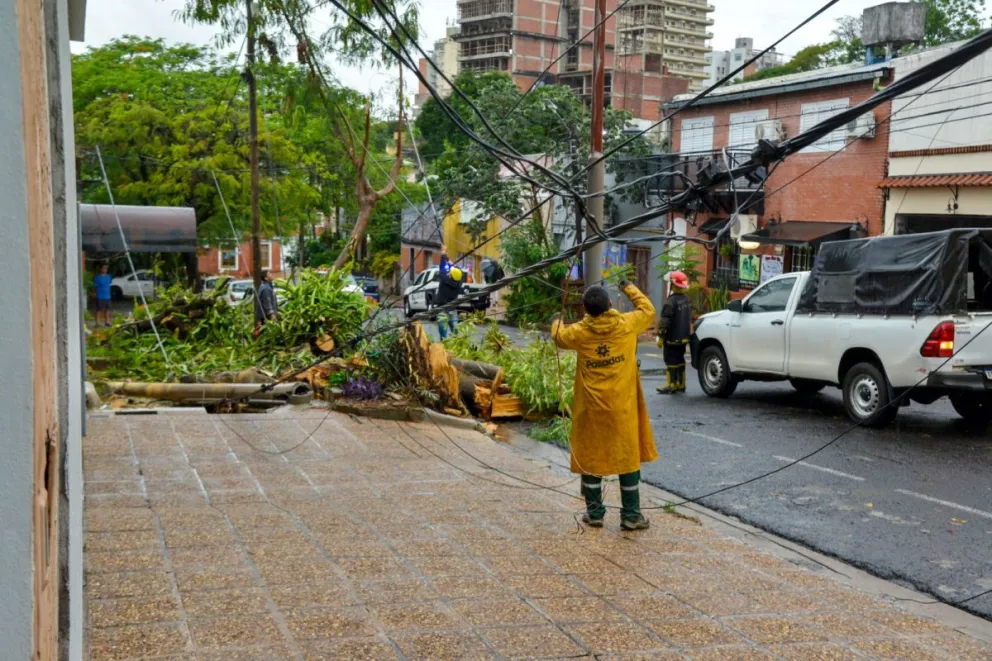 Fuerte temporal golpeó a Posadas