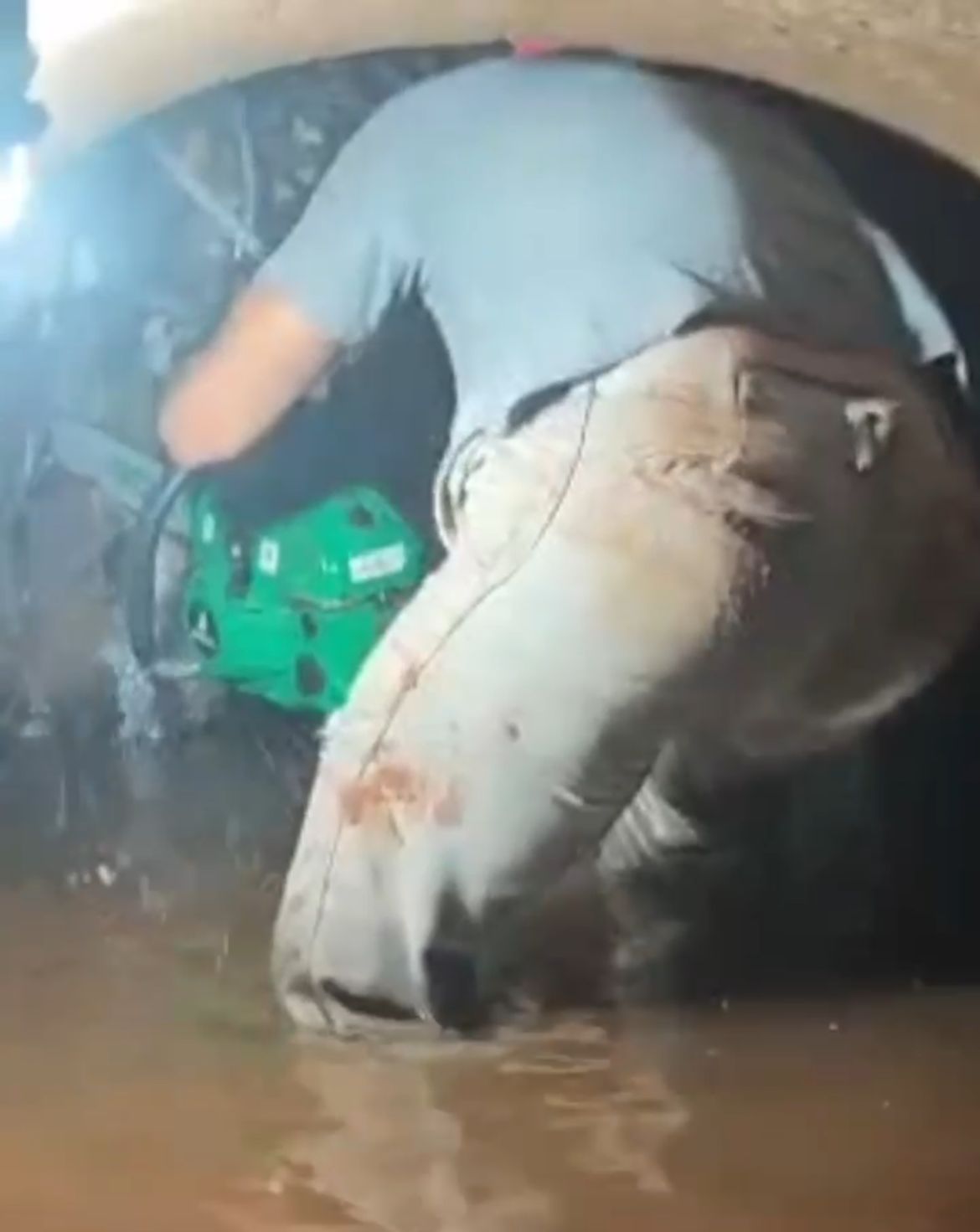 Obras Públicas refuerza tareas de limpieza y mantenimiento de desagues en Eldorado