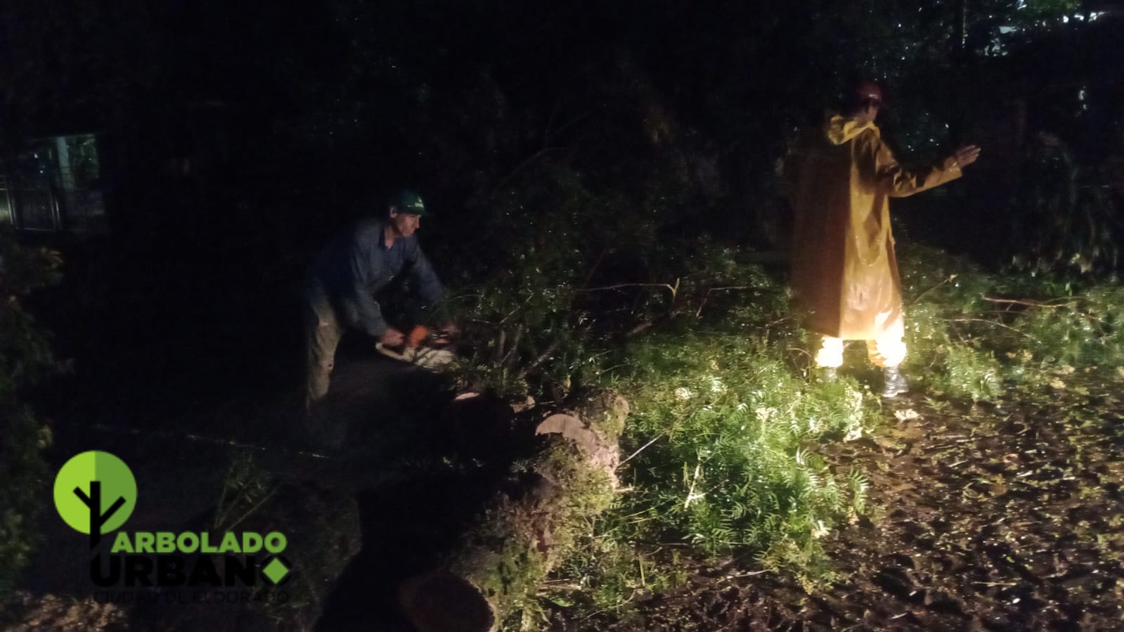 Rápida respuesta tras el temporal en Eldorado