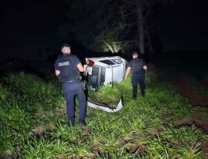 Esquivó a un perro y terminó volcando