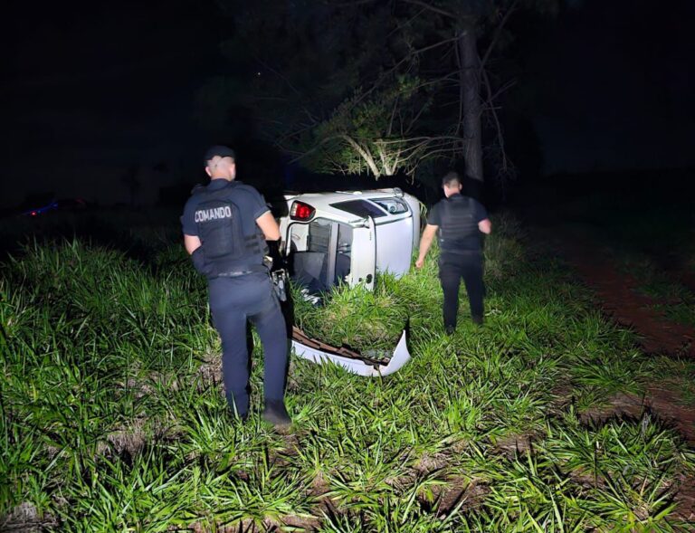 Esquivó a un perro y terminó volcando