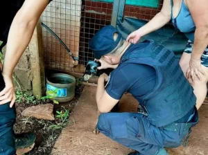 Rescatan a un perro tras denuncias por presunto maltrato animal en Eldorado