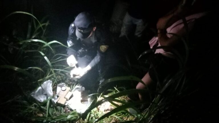 refugio clandestino con marihuana