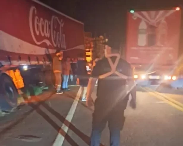 Camión despistó en la Ruta 12 Piray Guazú