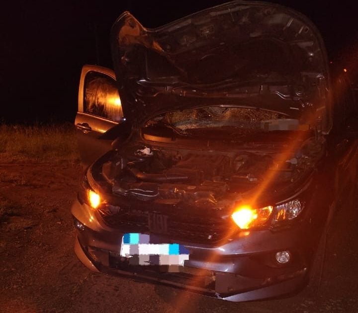 Un hombre falleció tras ser atropellado en la Ruta 12