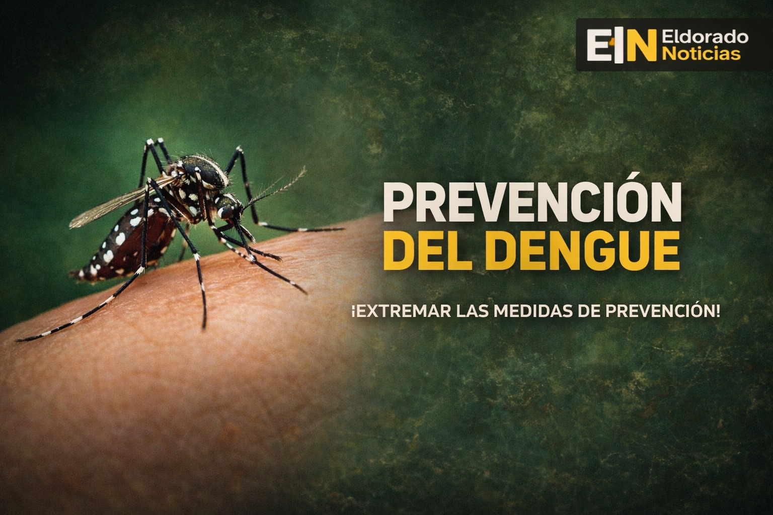 prevención del dengue en Misiones