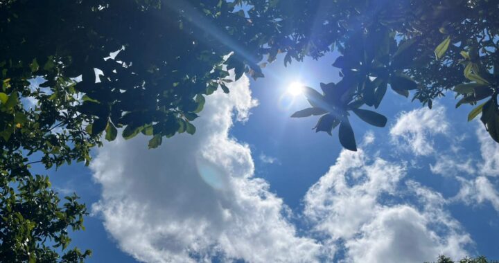 Después del calor vuelve el frío a Misiones: enterate cuándo