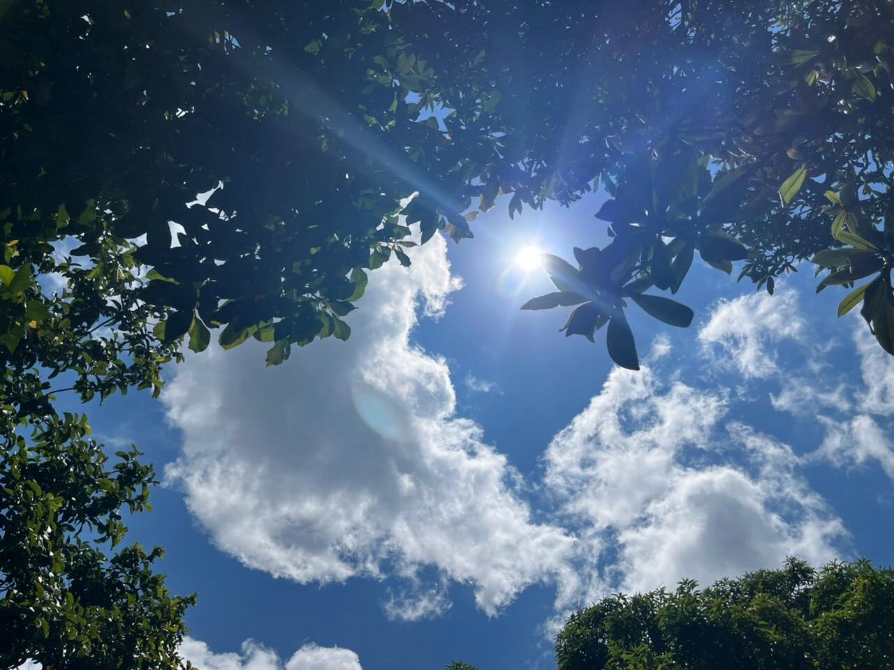 Fin de semana con tiempo estable en Misiones