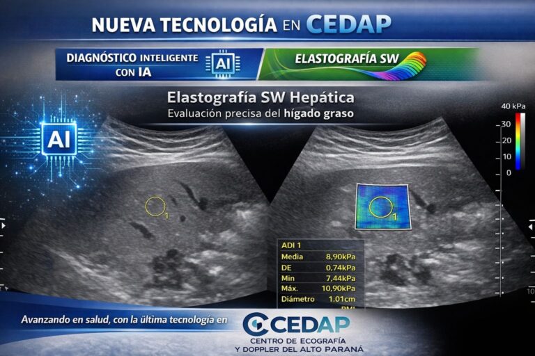 CEDAP a la vanguardia