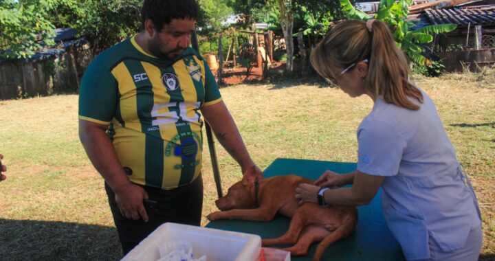 Operativo gratuito para mascotas en el barrio Koch de Eldorado