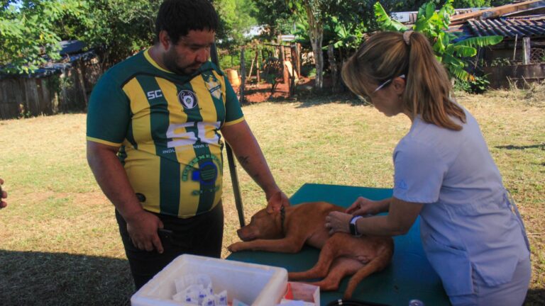 Operativo gratuito para mascotas en el barrio Koch de Eldorado