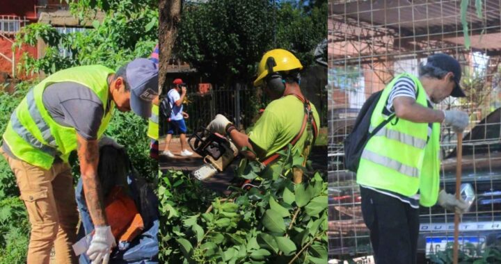 Operativo Ambiental Especial en el barrio Georgias del Sur