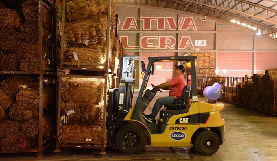 Suspendieron el acopio de tabaco por 15 días en Misiones