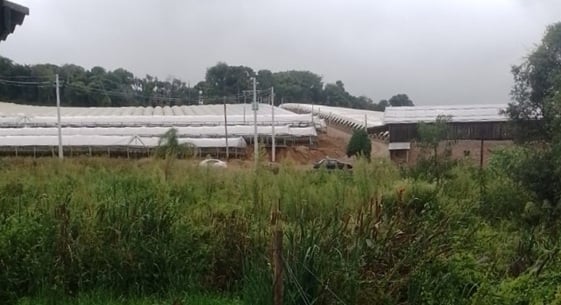 Trabajadores misioneros denuncian explotación laboral en Brasil