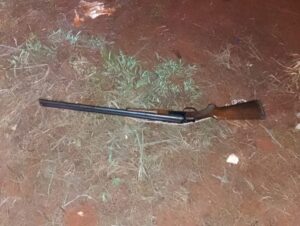 hombre de 80 años acusado de matar al perro de su vecino