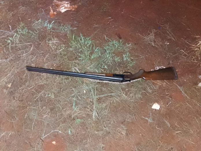 hombre de 80 años acusado de matar al perro de su vecino