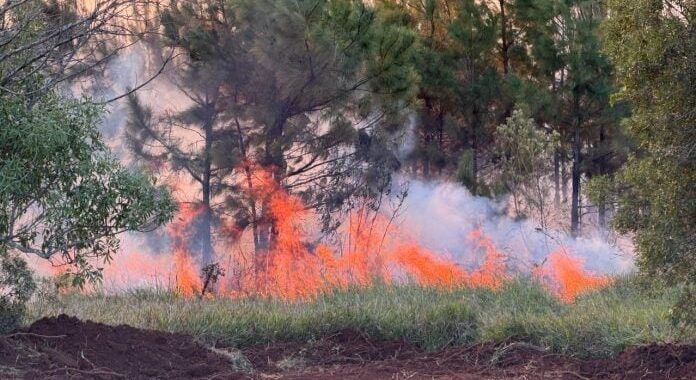 Alerta en Misiones alto riesgo de incendios