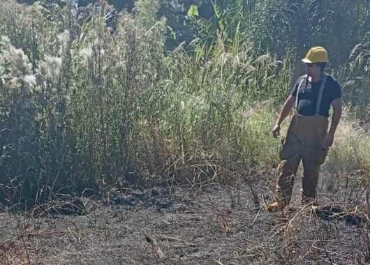 Bomberos de Puerto Iguazú sofocaron un incendio de pastizales próximo a una vivienda