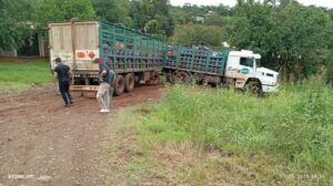Camión que transportaba gas despistó y chocó contra un poste de luz