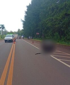 Motociclista murió tras chocar con un automóvil sobre la Ruta 12 en Montecarlo