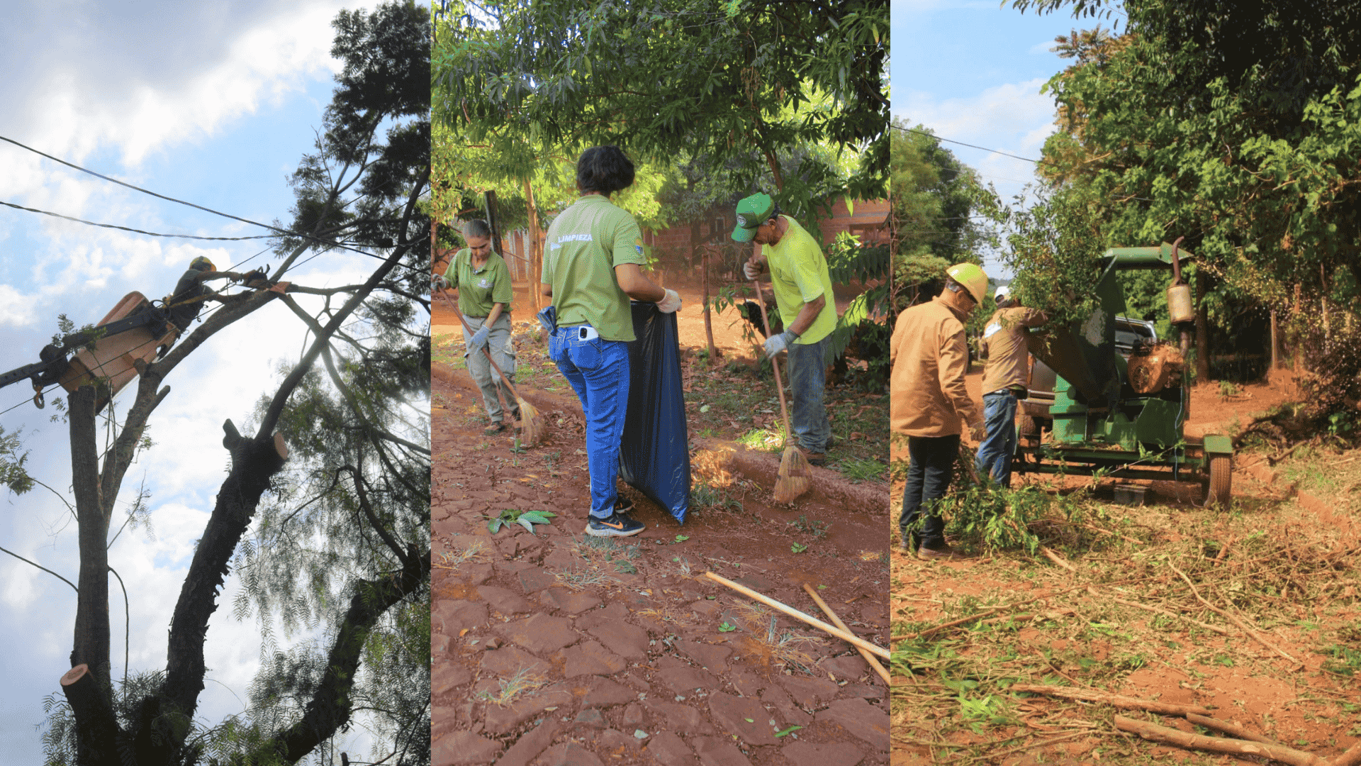 Operativo ambiental integral en Eldorado