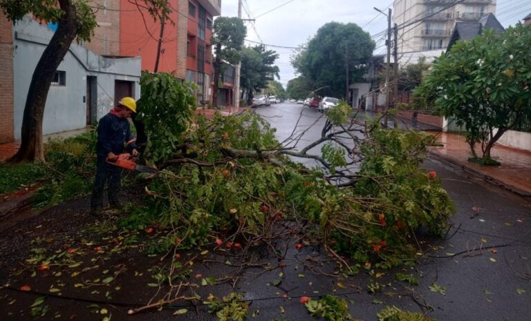 Temporal en Posadas