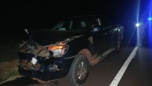 Una camioneta chocó con una vaca sobre la Ruta 14