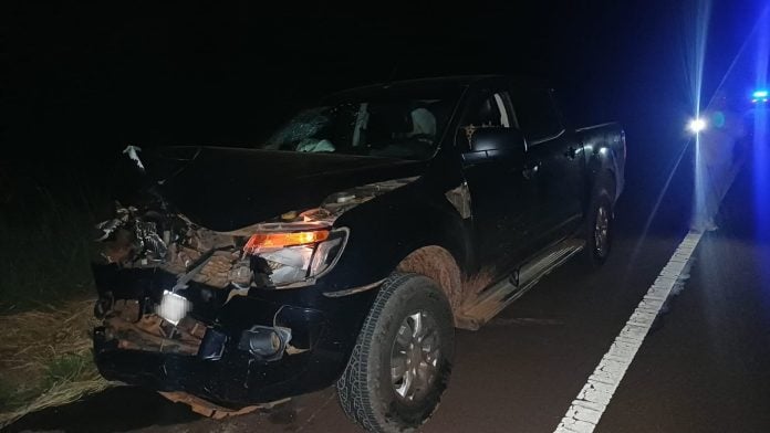 Una camioneta chocó con una vaca sobre la Ruta 14