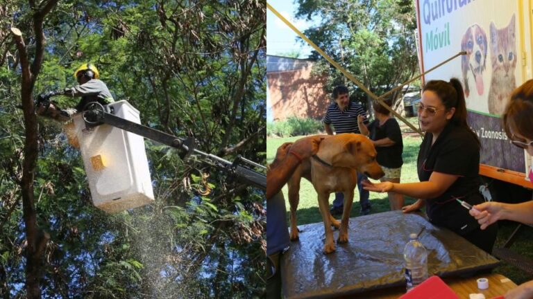Eldorado llevó adelante un operativo ambiental de alto impacto en el barrio Gürtner
