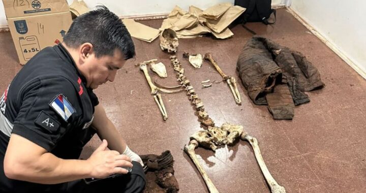 Hallaron restos óseos humanos en una zona de malezas y analizan su origen