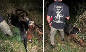 Persecución en zona rural terminó con una moto robada recuperada