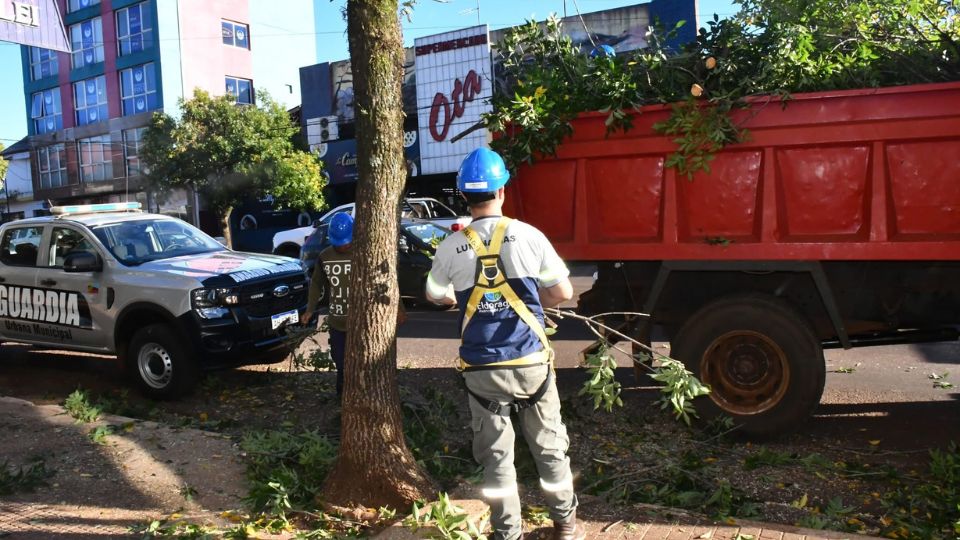 Realizan tareas de poda y recambio de luminarias sobre la avenida San Martín de Eldorado