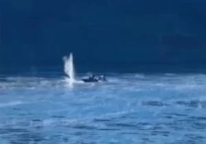 Tiroteo desde Paraguay agente de Prefectura herida