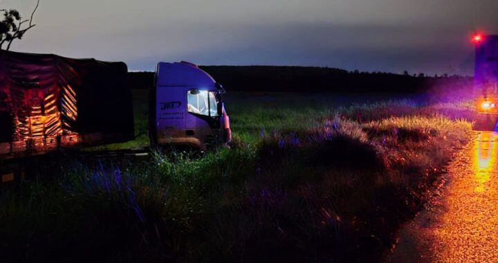 Un camionero se quedó dormido y despistó en la Ruta 12