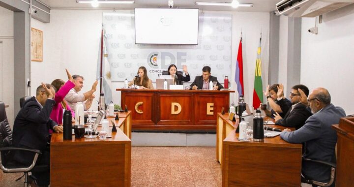 El Concejo Deliberante de Eldorado convalidó el contrato de concesión del servicio de transporte