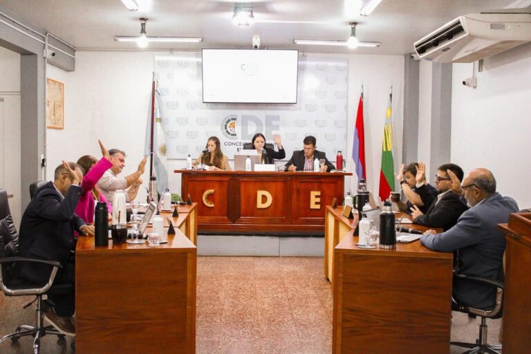 El Concejo Deliberante de Eldorado convalidó el contrato de concesión del servicio de transporte